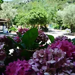 Guest house Spiros Panormos (Skopelos)