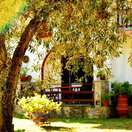 Spiros 4*
