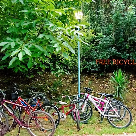 Spiros Panormos (Skopelos)