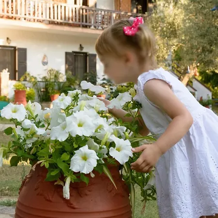 Spiros ゲストハウス Panormos (Skopelos)