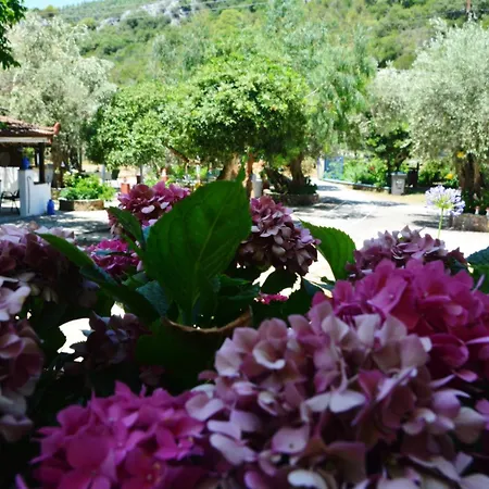 게스트하우스 Spiros Panormos (Skopelos)