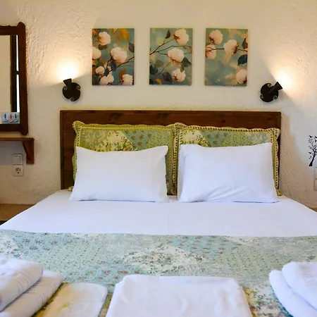 Guest house Spiros Panormos (Skopelos)