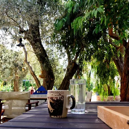 Spiros Panormos (Skopelos)