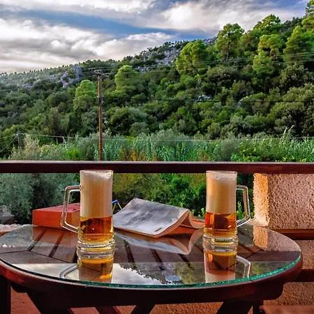 Spiros ゲストハウス