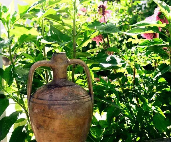 Spiros Penzion Panormos (Skopelos)