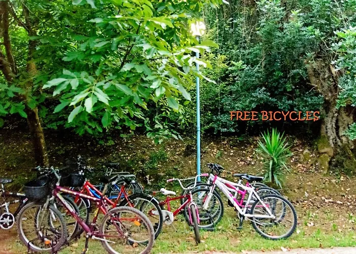 Spiros Panormos (Skopelos)