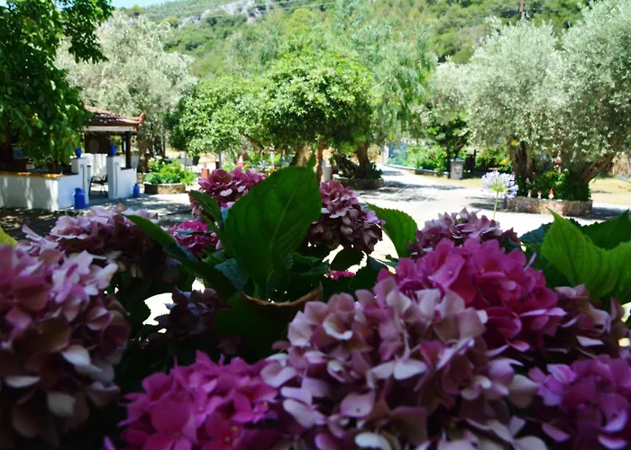 Penzion Spiros Panormos (Skopelos)