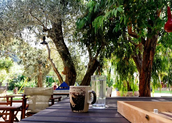 Spiros Panormos (Skopelos)